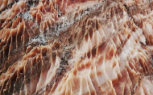 #image3